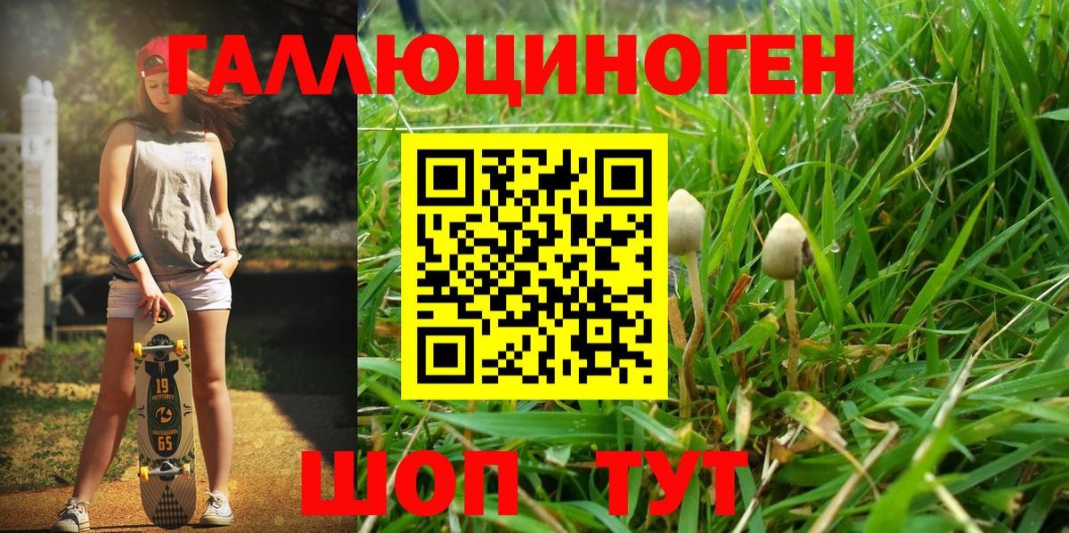 Псилоцибиновые грибы MAGIC MUSHROOMS Кстово