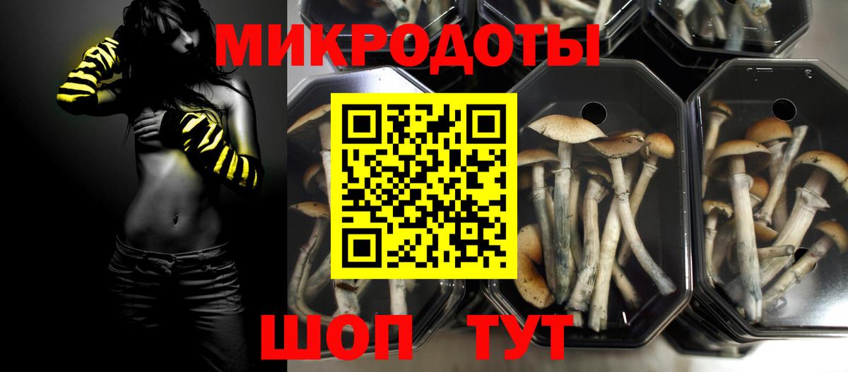 Псилоцибиновые грибы GOLDEN TEACHER  Вход с VPN  Кстово 